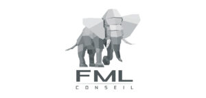 logo de la société fml conseil
