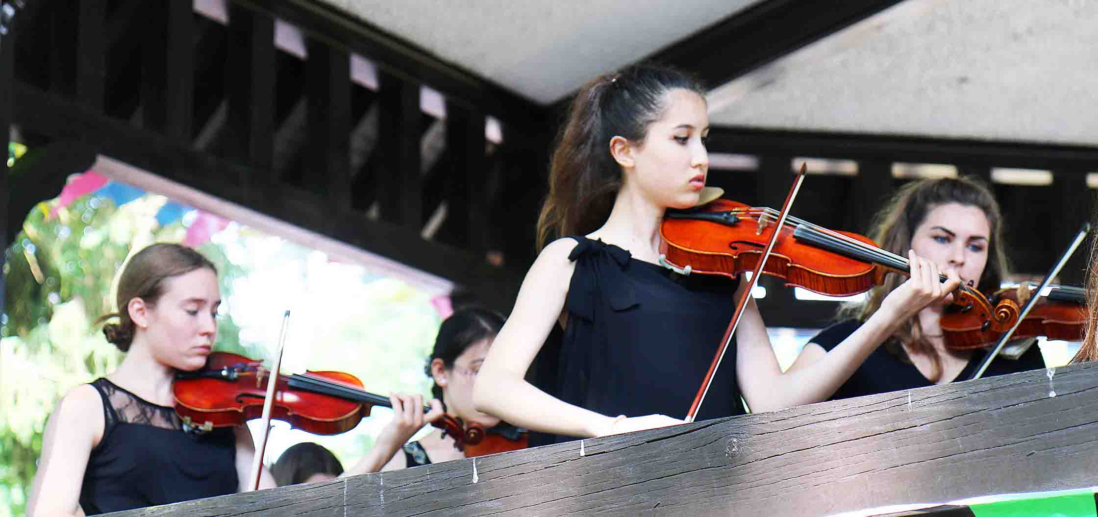 violonistes pendant l'expositions le lys chantilly