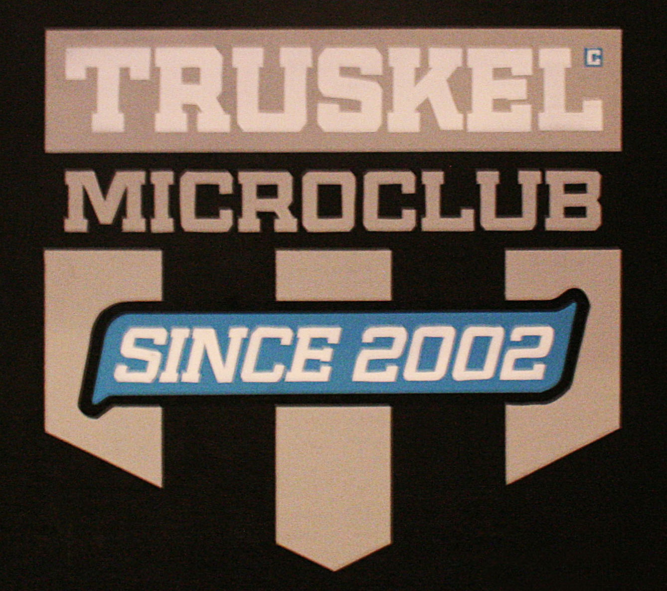 fresques du truskel microklub du logo