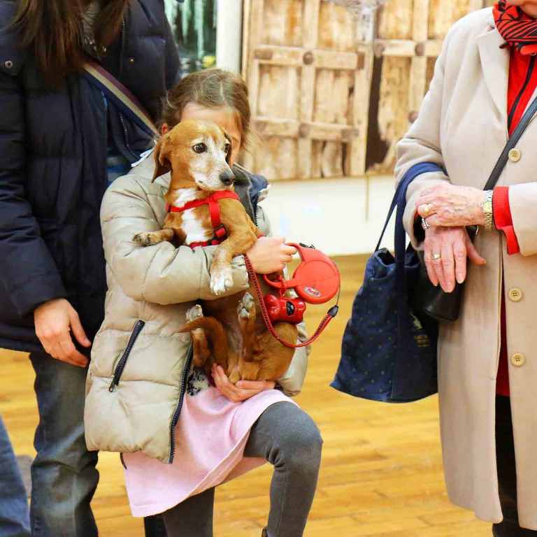 Petite fille avec un chien pendant l'expositions du festival de gouvieux