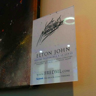 plaquette de présentation du portrait elton john de la collection ekinox de l'expositions de gouvieux